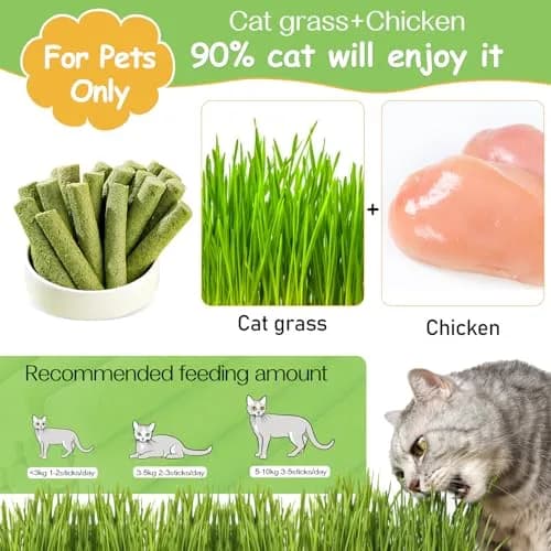 HavenJanny Cat Grass Teething Stick with Chicken 50g (1.76 oz) | Hairball Control & Dental Health thumbnail 2
