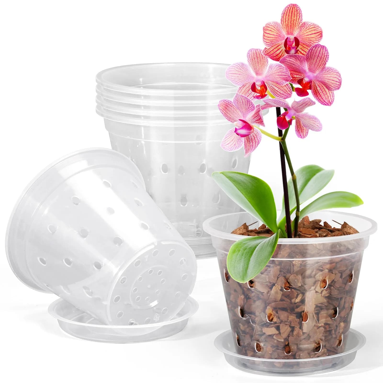 FUIJOL Orchid Pot 4 Inch Clear | Breathable Plastic Planter with Drainage