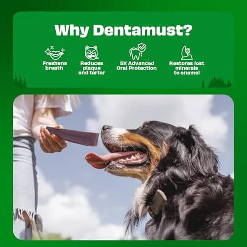 Pawfect Himalayan Cheese Dental Chew with Superfoods for Dogs | Long Lasting, Grain-Free, High Protein (420g/14.81oz) thumbnail 5