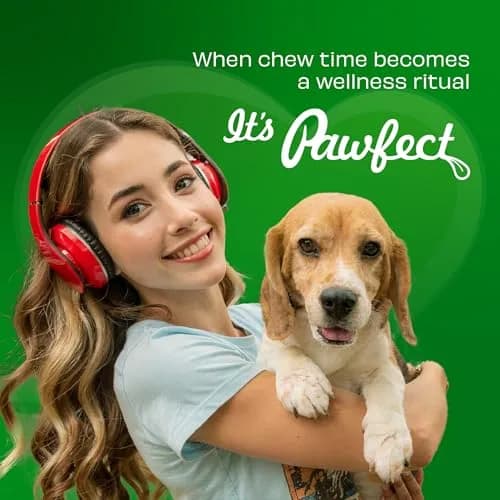 Pawfect Himalayan Cheese Dental Chew with Superfoods for Dogs | Long Lasting, Grain-Free, High Protein (420g/14.81oz) thumbnail 7