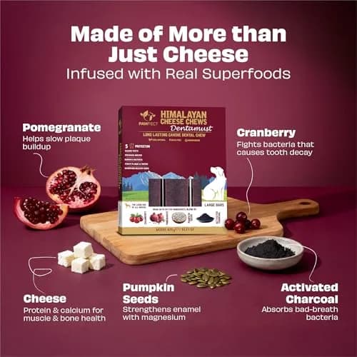 Pawfect Himalayan Cheese Dental Chew with Superfoods for Dogs | Long Lasting, Grain-Free, High Protein (420g/14.81oz) thumbnail 3