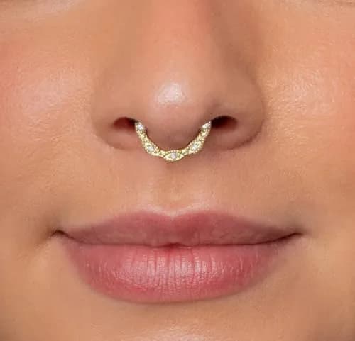 NONTAI 16G Flower Daith Hoop Earring Septum Clicker 8mm (0.31 inch) | Hinged Seamless Clicker Ring thumbnail 2