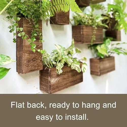 LáLáGreen Wooden Wall Planters (4 Pack) Hanging Wood Planter Box for Plants thumbnail 6