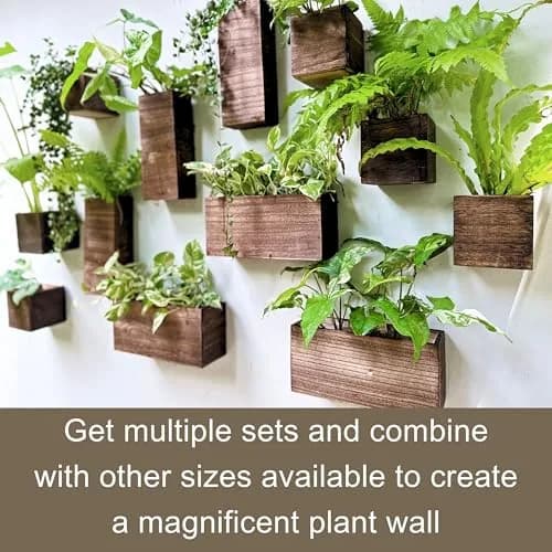 LáLáGreen Wooden Wall Planters (4 Pack) Hanging Wood Planter Box for Plants thumbnail 3