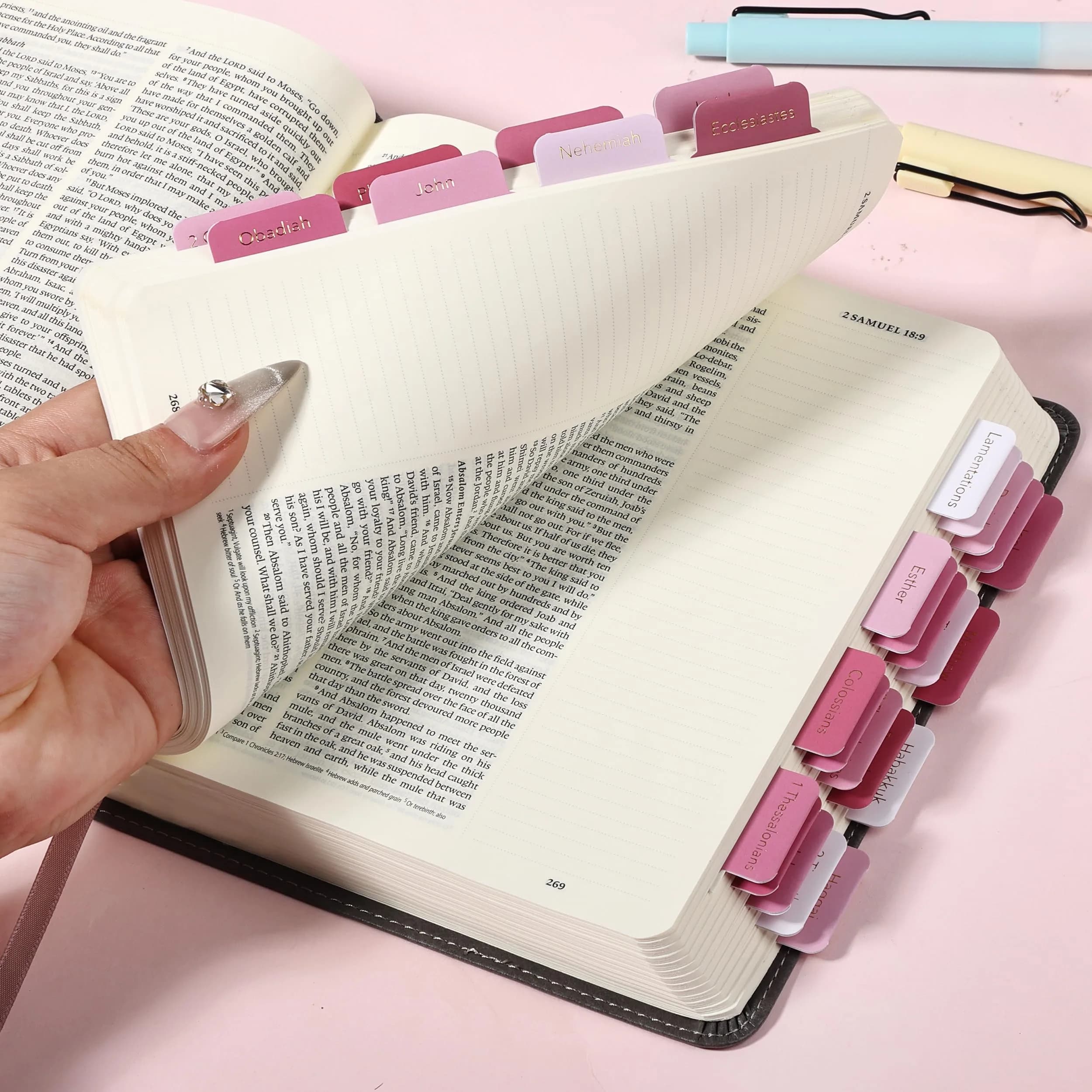 Mr. Pen Pink Plum Orchard Bible Tabs (75 Tabs) | Gold Foil Embossed Lettering for Organized Study - view 7