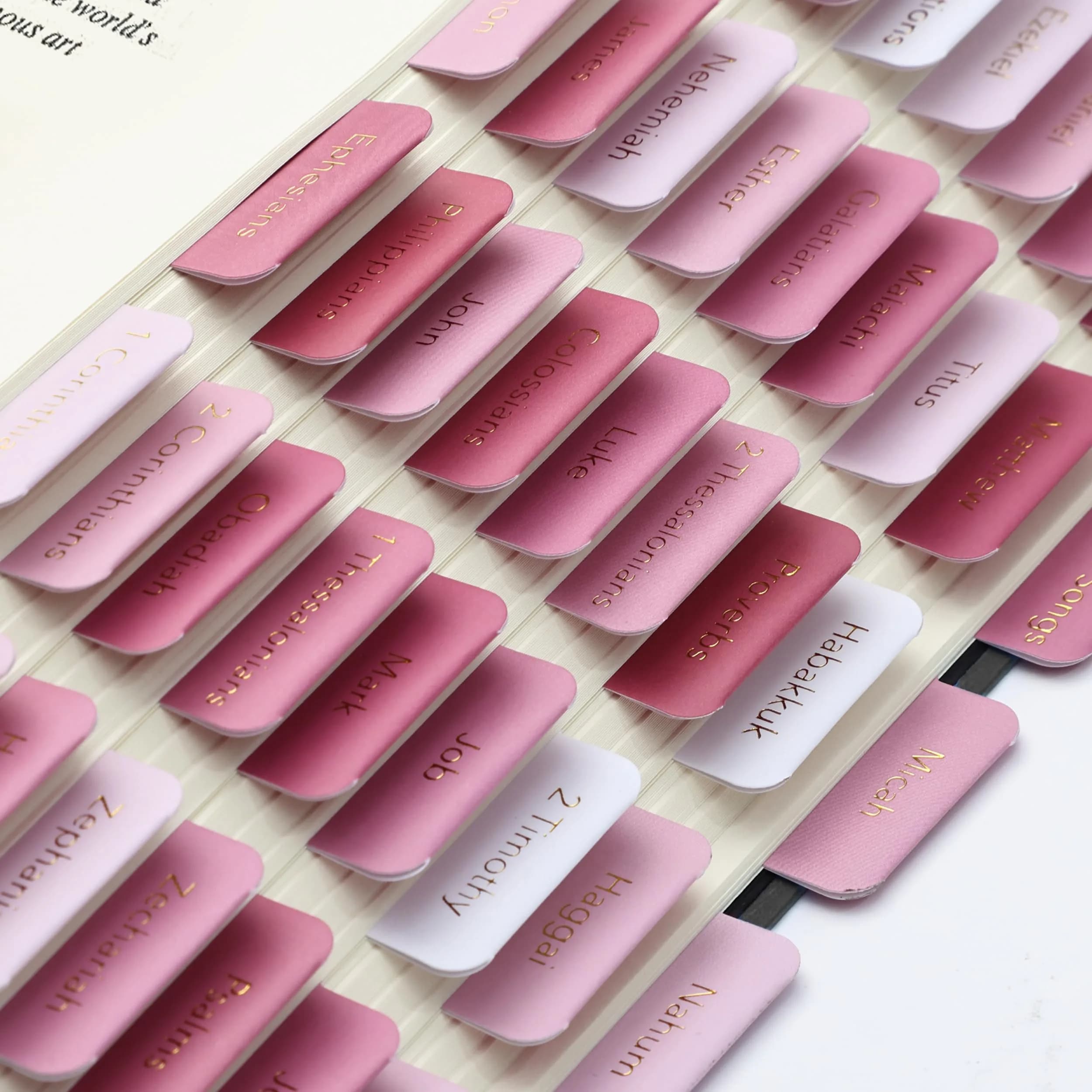 Mr. Pen Pink Plum Orchard Bible Tabs (75 Tabs) | Gold Foil Embossed Lettering for Organized Study - view 8