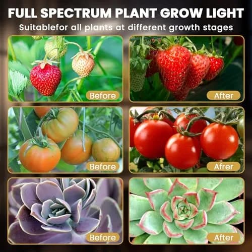 bseah Full Spectrum LED Grow Light for Indoor Plants, 3-Tube Clip-On with Timer & Dimmer | 35cm (13.7in) Length thumbnail 5