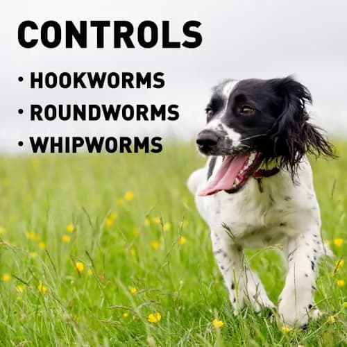 Interceptor for Dogs 2-10 lbs | Heartworm & Worms Prevention, 6-Month Supply thumbnail 4