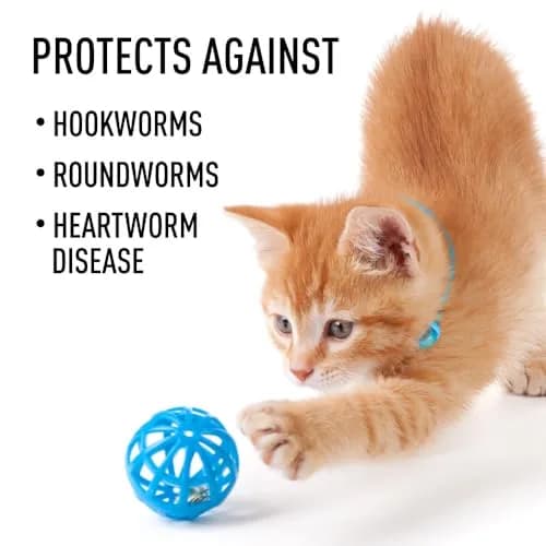Interceptor for Dogs and Cats 51-100 lbs / 12.1-25 lbs | Monthly Heartworm & Worm Prevention thumbnail 8