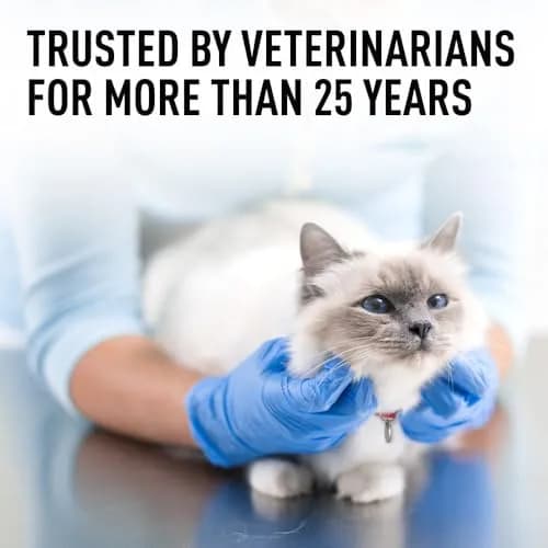 Interceptor for Dogs and Cats 11-25 lbs | Heartworm & Worms Prevention (enables pet health in India) thumbnail 6