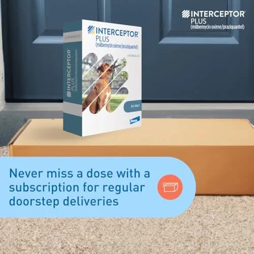 Interceptor Plus for Dogs 50.1-100 lbs. | Monthly Heartworm & Worm Protection thumbnail 7