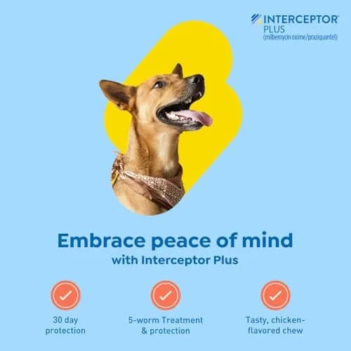 Interceptor Plus for Dogs 50.1-100 lbs. | Monthly Heartworm & Worm Protection thumbnail 2
