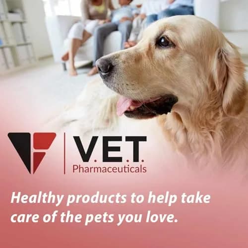 V.E.T. PHARMACEUTICALS DL Methionine Tablets 500mg | Urinary pH Support for Dogs & Cats thumbnail 2