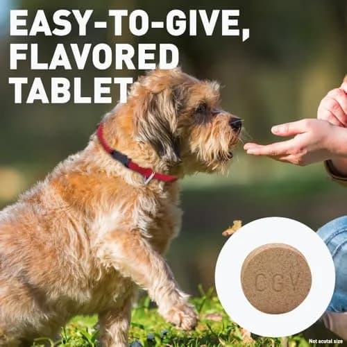 Interceptor for Dogs and Cats 26-50 lbs / 6.1-12 lbs | Heartworm & Worm Prevention thumbnail 3
