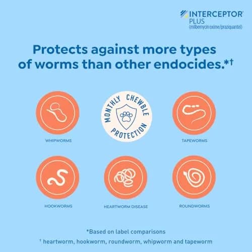 Interceptor Plus Monthly Tablets for Dogs 2-8 lbs | Heartworm & Worms Protection thumbnail 4