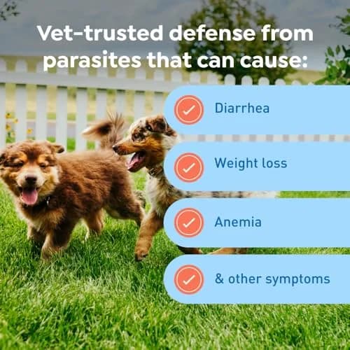 Interceptor Plus Monthly Tablets for Dogs 2-8 lbs | Heartworm & Worms Protection thumbnail 6