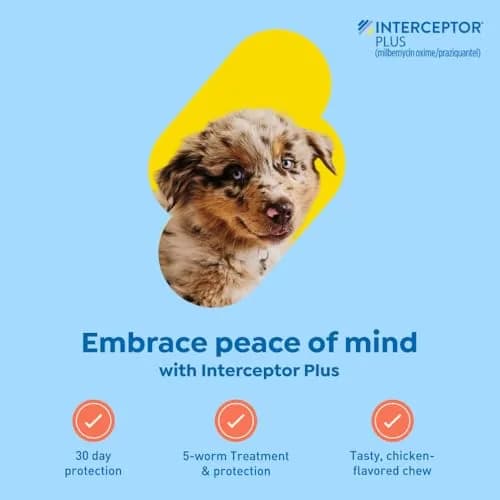 Interceptor Plus Monthly Tablets for Dogs 2-8 lbs | Heartworm & Worms Protection thumbnail 2