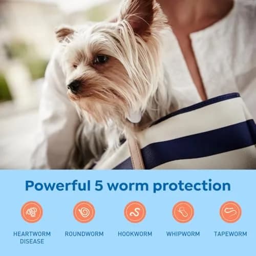 Interceptor Plus Monthly Tablets for Dogs 2-8 lbs | Heartworm & Worms Protection thumbnail 3
