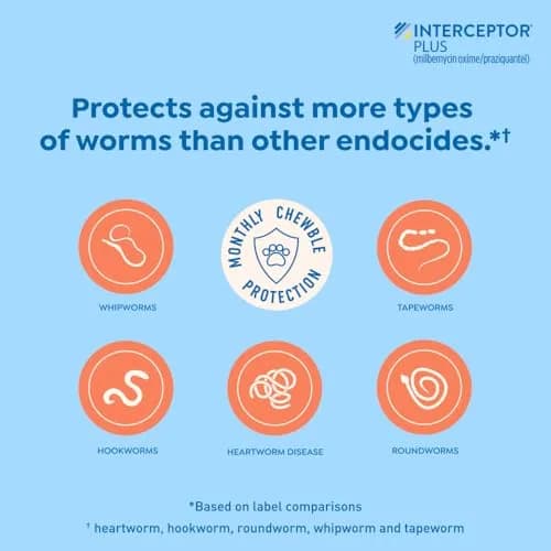 Interceptor Plus Monthly Tablets for Dogs 25.1-50 lbs | Heartworm & Worms Protection thumbnail 4