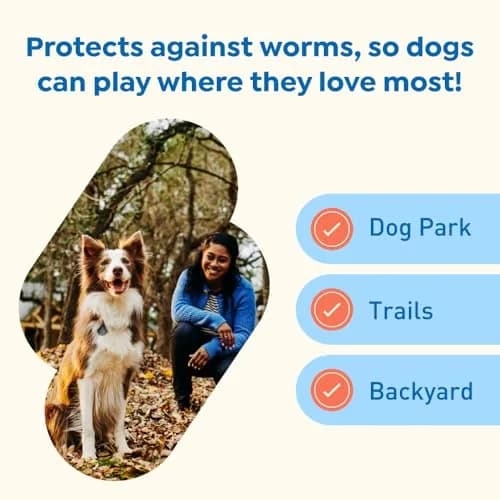 Interceptor Plus Monthly Tablets for Dogs 25.1-50 lbs | Heartworm & Worms Protection thumbnail 5