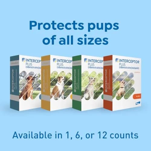 Interceptor Plus Monthly Tablets for Dogs 25.1-50 lbs | Heartworm & Worms Protection thumbnail 8