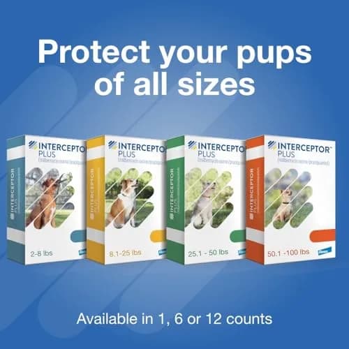 Interceptor Plus Monthly Tablets for Dogs 25.1-50 lbs | Heartworm & Worms Protection thumbnail 9