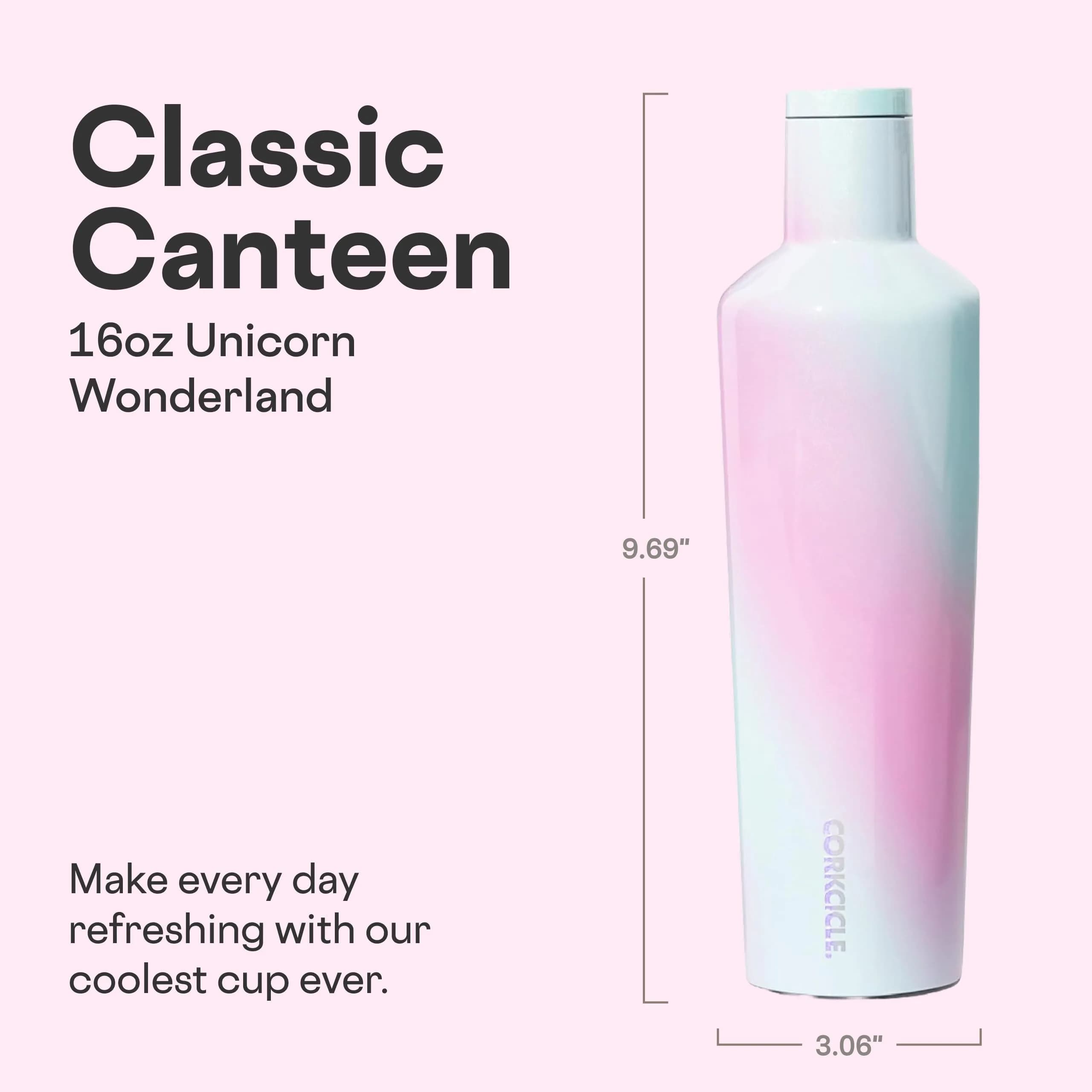 Corkcicle Insulated Canteen, Cold 25H, Hot 12H, 25 oz (739ml) | Triple-Insulated Stainless Steel Tumbler - view 2