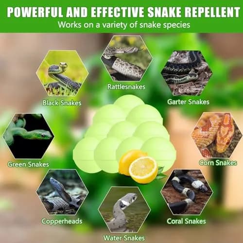 Enbabbor 24 Pc Snake Repellent Balls | Natural Yard & Indoor Snake Deterrent thumbnail 3