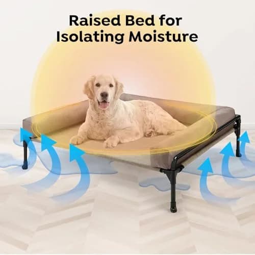Veehoo Outdoor Elevated Dog Bed-Cooling Raised Dog Cot for Large Dogs | Durable Steel & Mesh thumbnail 2