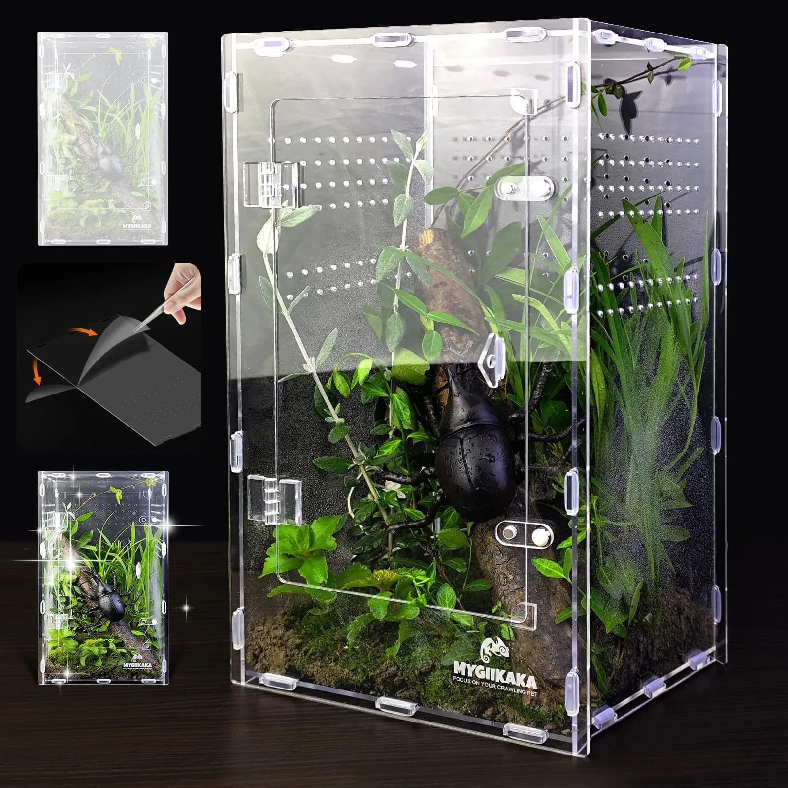 MYGIIKAKA Acrylic Jumping Spider Habitat, Insect Terrarium, Bug Enclosure, Praying Mantis Habitat, Frog Enclosure (Pack of 3) — Large
