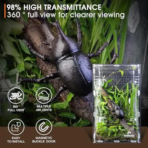 MYGIIKAKA Acrylic Jumping Spider Enclosure - Insect Terrarium for Spiders, Mantises, Tarantulas & Frogs | 37cm x 19cm x 20cm (14.6" x 7.7" x 8.1") thumbnail 4