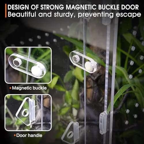 MYGIIKAKA Acrylic Jumping Spider Enclosure - Insect Terrarium for Spiders, Mantises, Tarantulas & Frogs | 37cm x 19cm x 20cm (14.6" x 7.7" x 8.1") thumbnail 5