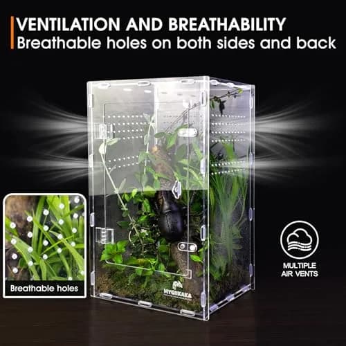 MYGIIKAKA Acrylic Jumping Spider Enclosure - Insect Terrarium for Spiders, Mantises, Tarantulas & Frogs | 37cm x 19cm x 20cm (14.6" x 7.7" x 8.1") thumbnail 6
