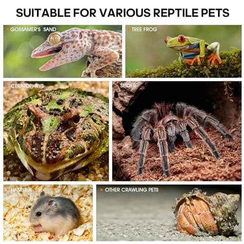 MYGIIKAKA Acrylic Jumping Spider Enclosure - Insect Terrarium for Spiders, Mantises, Tarantulas & Frogs | 37cm x 19cm x 20cm (14.6" x 7.7" x 8.1") thumbnail 7