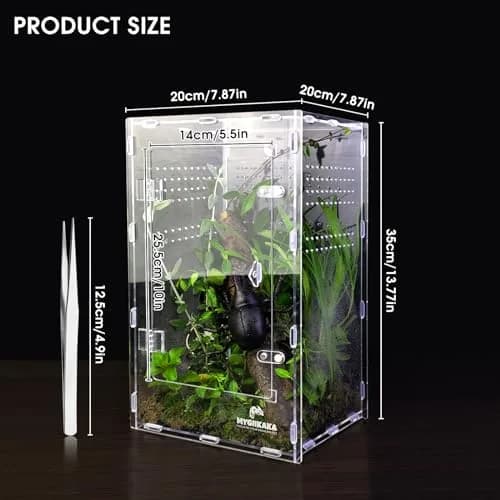MYGIIKAKA Acrylic Jumping Spider Enclosure - Insect Terrarium for Spiders, Mantises, Tarantulas & Frogs | 37cm x 19cm x 20cm (14.6" x 7.7" x 8.1") thumbnail 2