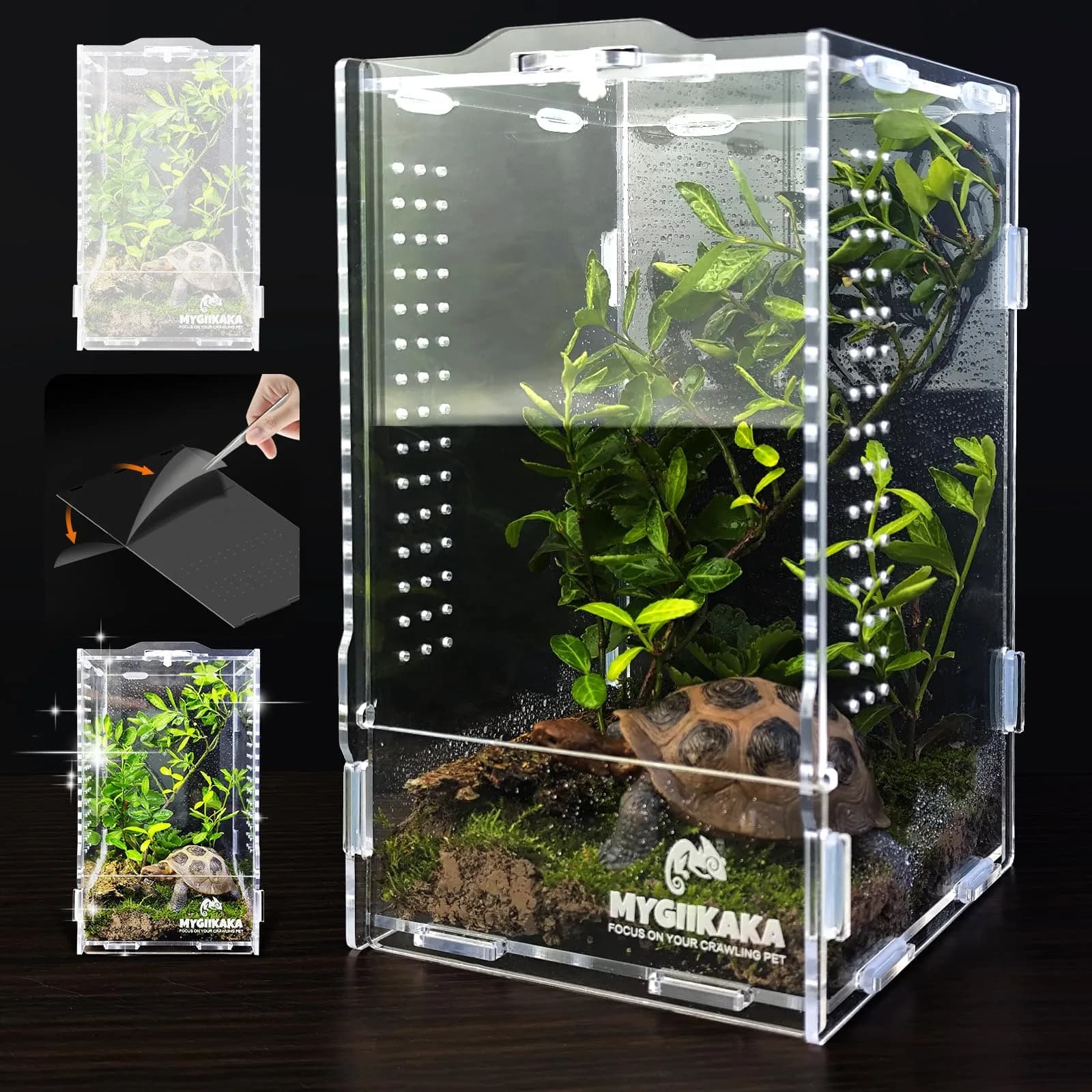 MYGIIKAKA Acrylic Jumping Spider Habitat 20cm (7.87") | Clear View Insect Terrarium for Small Pets - main product image