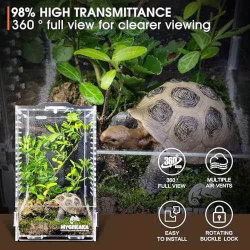 MYGIIKAKA Acrylic Jumping Spider Habitat 20cm (7.87") | Clear View Insect Terrarium for Small Pets thumbnail 4