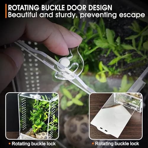 MYGIIKAKA Acrylic Jumping Spider Habitat 20cm (7.87") | Clear View Insect Terrarium for Small Pets thumbnail 5