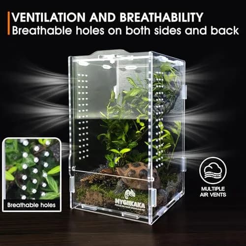 MYGIIKAKA Acrylic Jumping Spider Habitat 20cm (7.87") | Clear View Insect Terrarium for Small Pets thumbnail 6