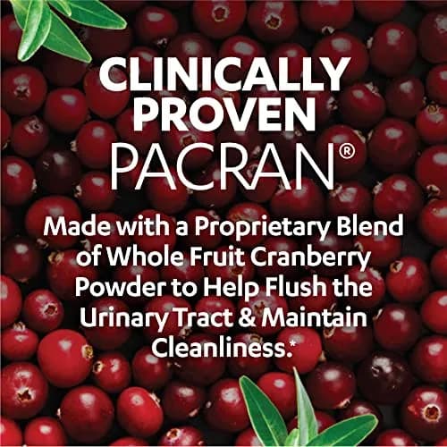 AZO Cranberry Pills 100 Count (Pack of 2) | Urinary Tract Health Supplement thumbnail 2