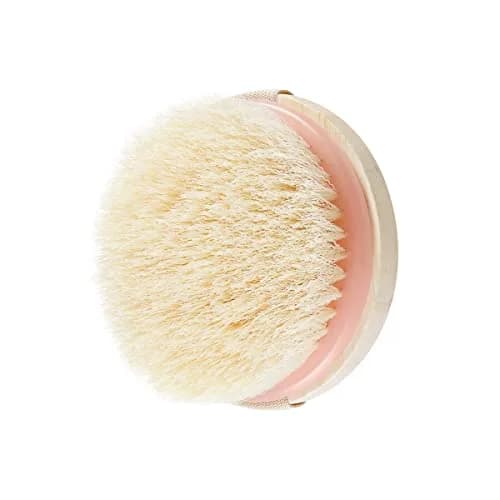 EcoTools Dry Body Brush, Vegan & Cruelty-Free | 2-Pack, Pink thumbnail 3