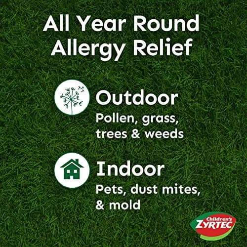 Zyrtec 24 Hour Children’s Allergy Syrup Grape Flavor 8 fl. oz (Pack of 2) | 24-Hour Allergy Relief for Kids thumbnail 4