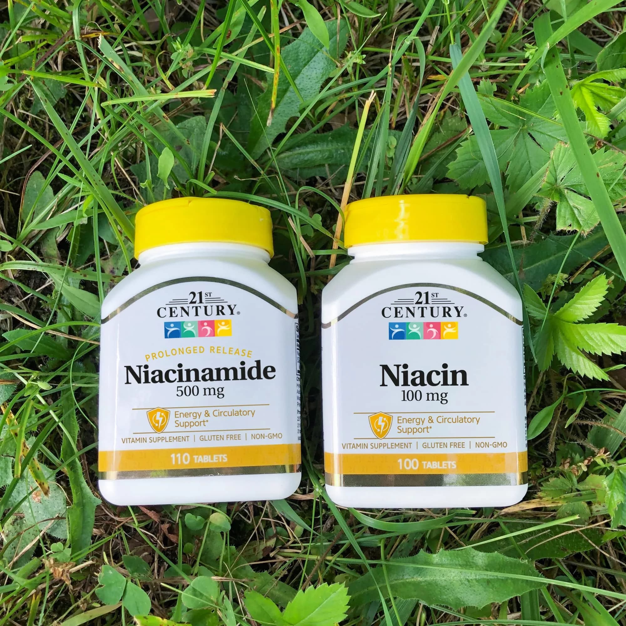21st Century Niacinamide 500 mg Prolonged Release Tablets, 220 Count (110 Count Pack of 2) | Energy Metabolism Support - view 4