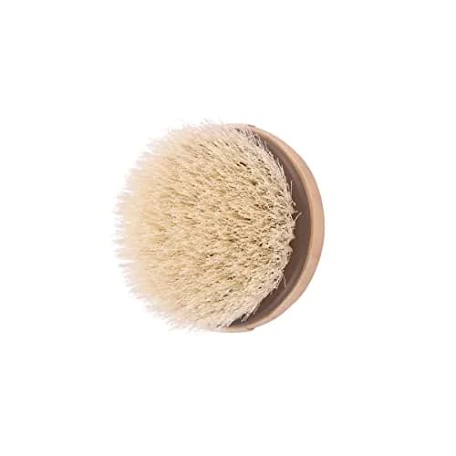 EcoTools Dry Body Brush | Eco-Friendly, Vegan & Cruelty-Free, 1 Count, Exfoliates & Promotes Blood Circulation thumbnail 4