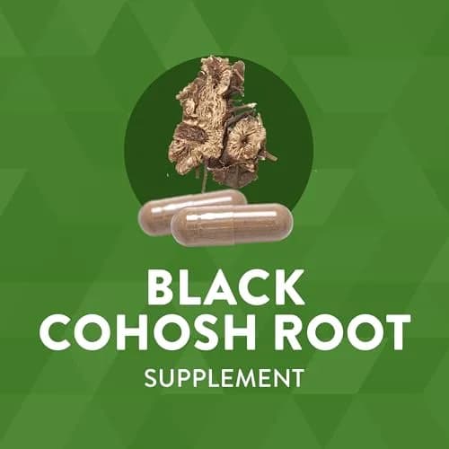 Nature's Way Black Cohosh Root Herbal Supplement 540 mg Vegan Capsules (200 Count) | Traditional Women's Health Support thumbnail 2