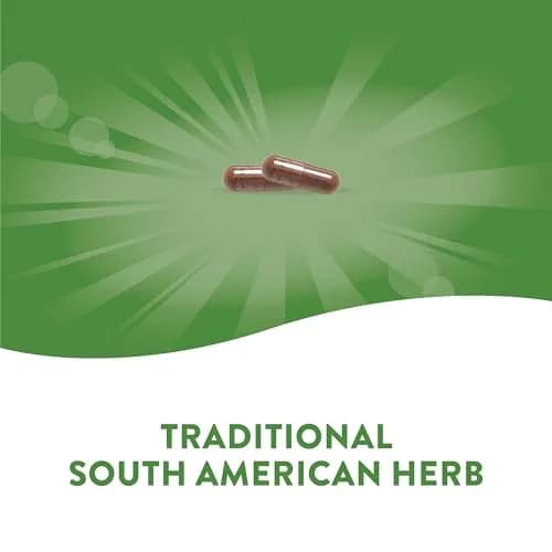 Nature's Way Premium Herbal Pau d'Arco Inner Bark 360 Capsules (180 Count Pack of 2) | Traditional South American Herb thumbnail 2