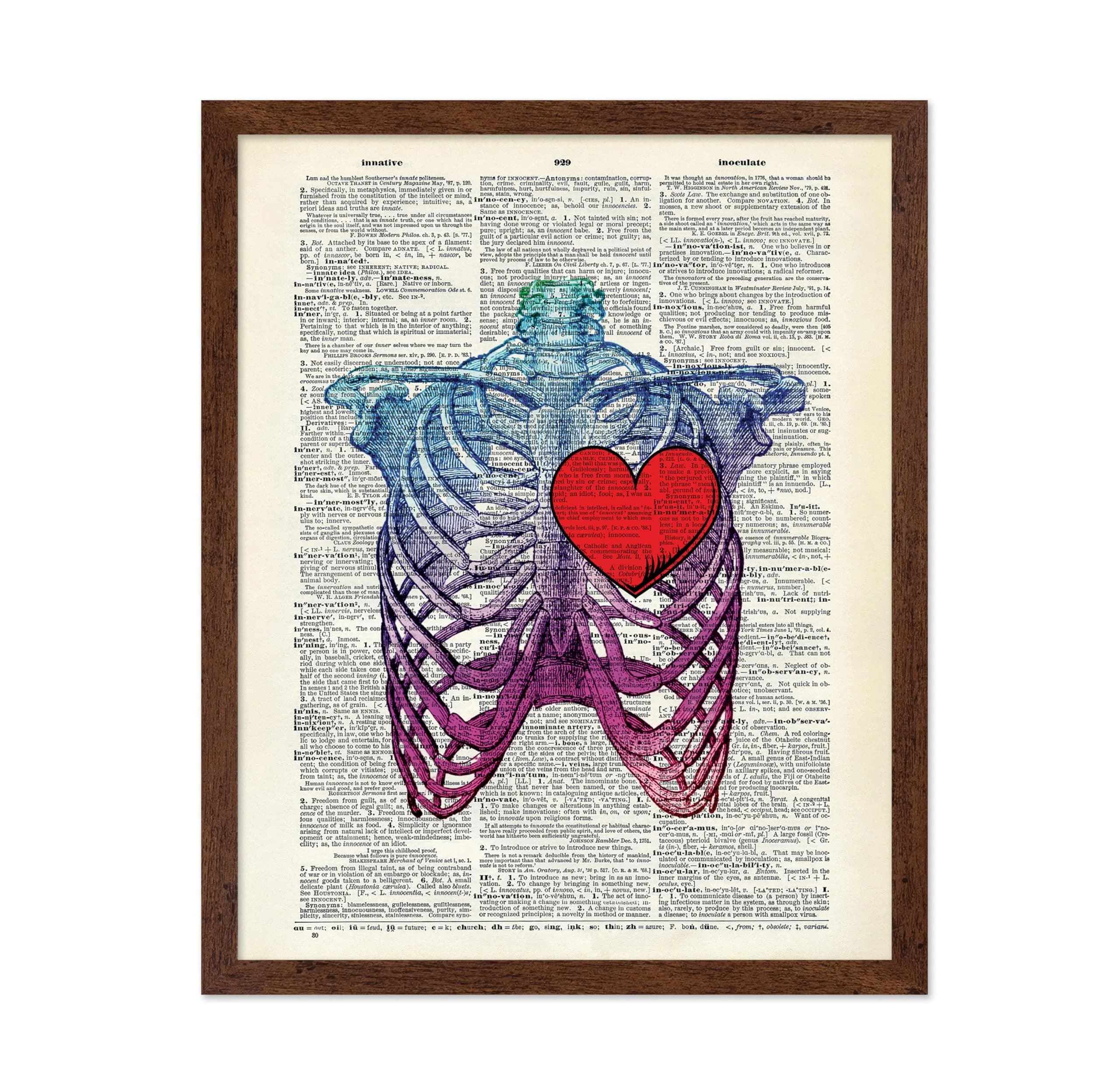 Poster Master Blue Pink Ribcage Skeleton Wall Art 16x20 Brown Framed | Anatomy & Medical Decor — Style-11