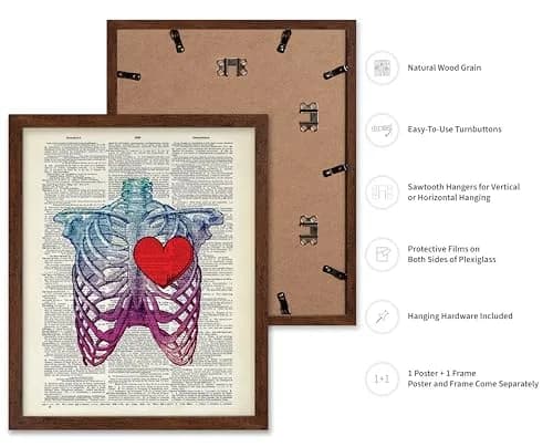 Poster Master Blue Pink Ribcage Skeleton Wall Art 16x20 Brown Framed | Anatomy & Medical Decor thumbnail 2