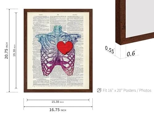 Poster Master Blue Pink Ribcage Skeleton Wall Art 16x20 Brown Framed | Anatomy & Medical Decor thumbnail 3