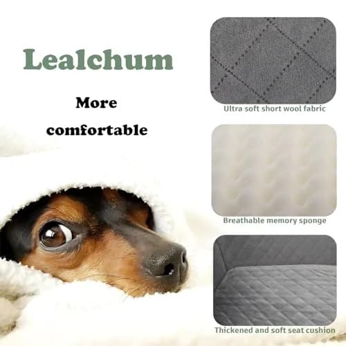 Lealchum Dog Car Seat for Large Dogs | Memory Foam Support & Safety Travel thumbnail 3